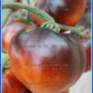 Серце України