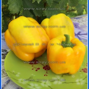 Барон жовтий