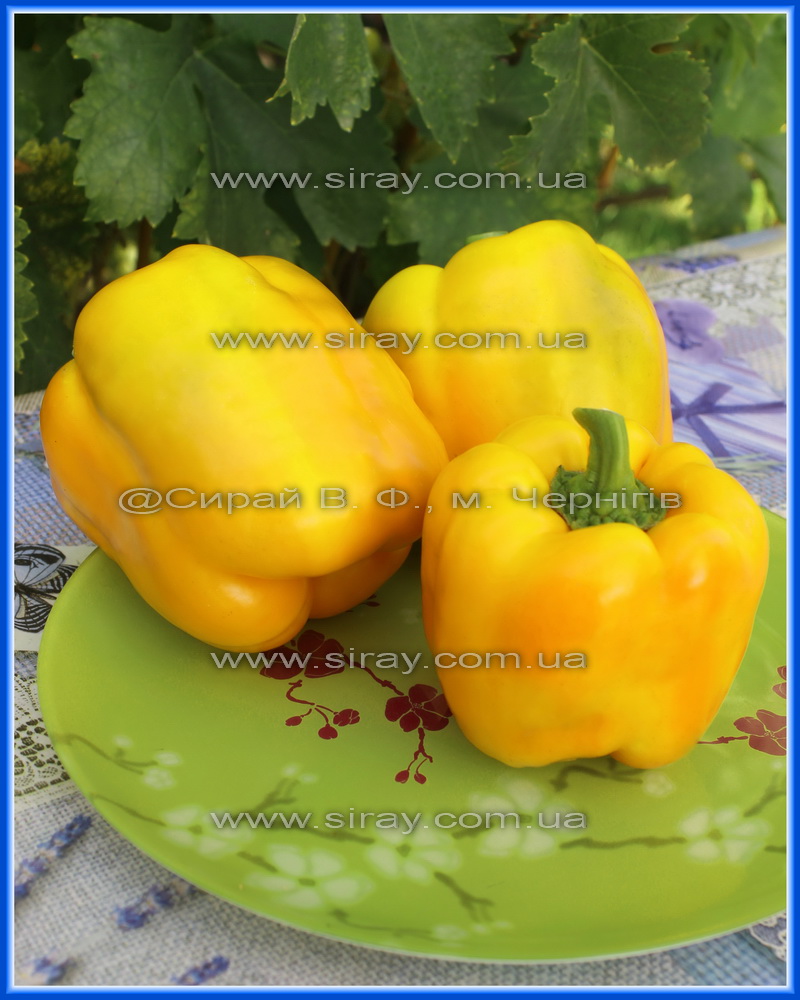 Барон жовтий